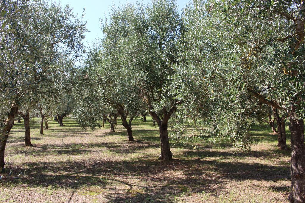 Carmiano  B&B La Gazza Ladra מראה חיצוני תמונה