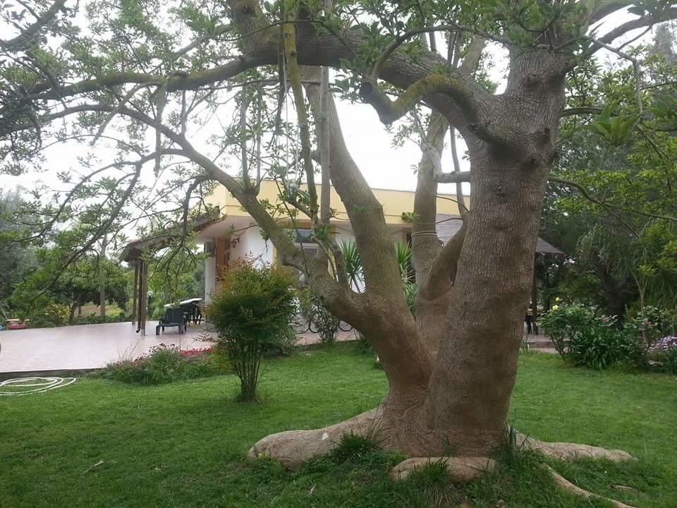 Carmiano  B&B La Gazza Ladra מראה חיצוני תמונה